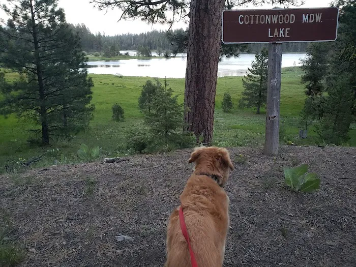 Camp Cottonwood Campground Picture 10