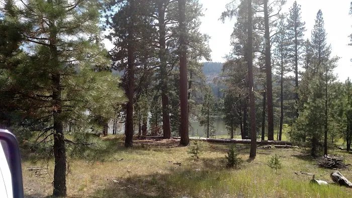 Camp Cottonwood Campground Picture 8
