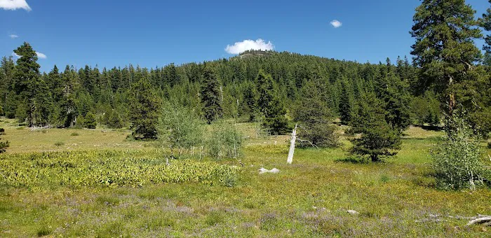 Camp Cottonwood Campground Picture 2