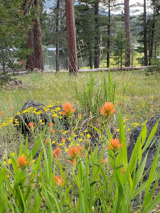 Camp Cottonwood Campground Picture 4