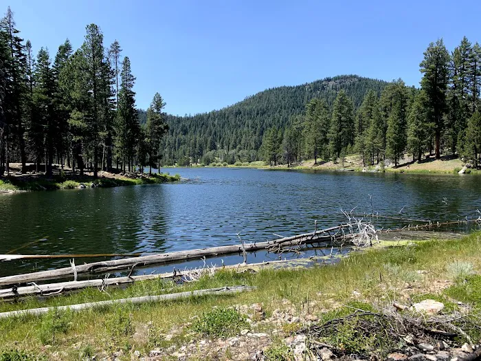 Camp Cottonwood Campground Picture 6