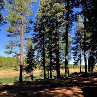 Lofton Reservoir Campground ico