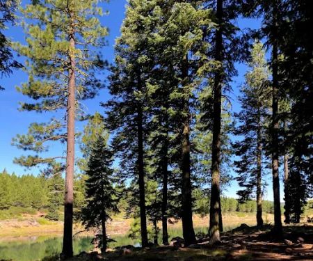 Lofton Reservoir Campground