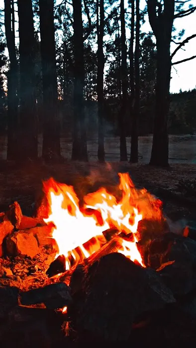 Holbrook Reservoir Campground Picture 7