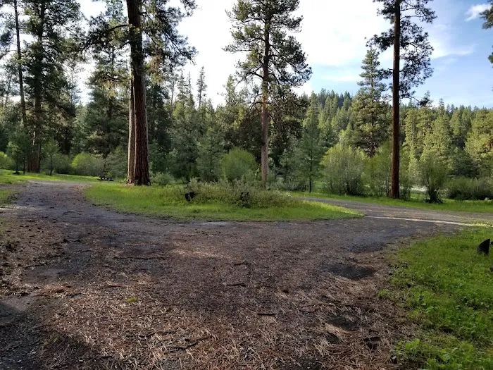 Emigrant Campground Picture 2