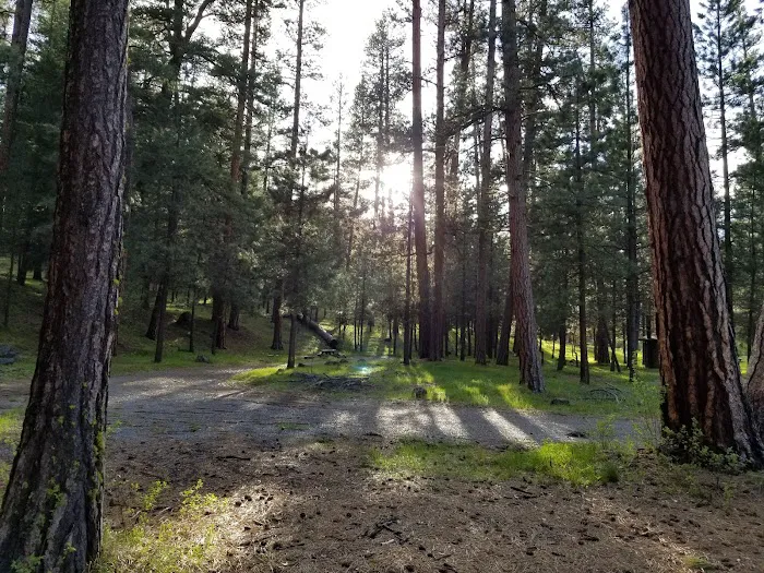Emigrant Campground Picture 1