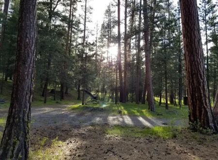 Emigrant Campground