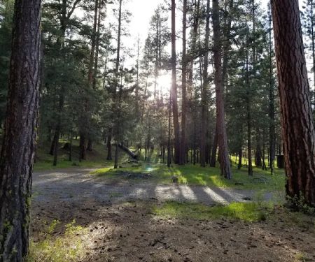 Emigrant Campground