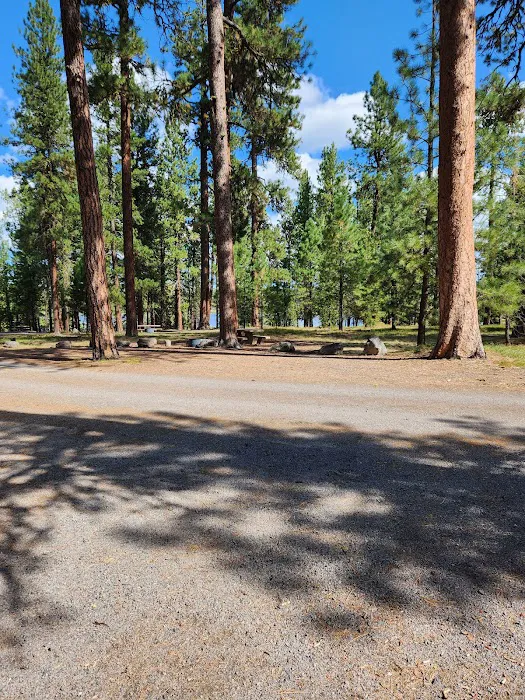 Delintment Lake Campground Picture 4