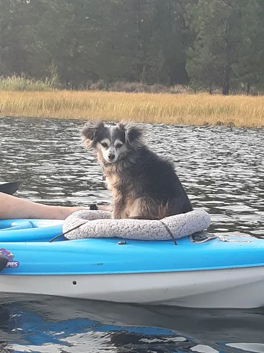 Delintment Lake Campground Picture 7
