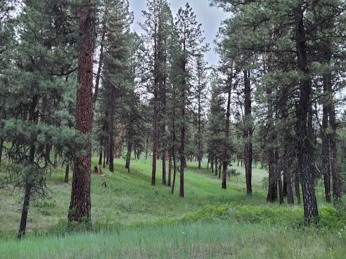 Driftwood Campground Picture 1