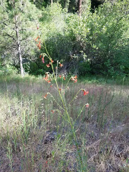 Driftwood Campground Picture 9