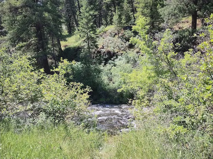 Tollbridge Campground Picture 5