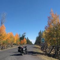 Tollbridge Campground ico