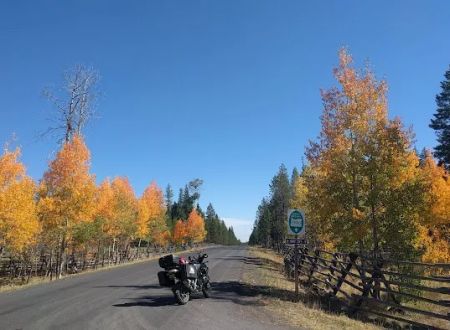 Tollbridge Campground