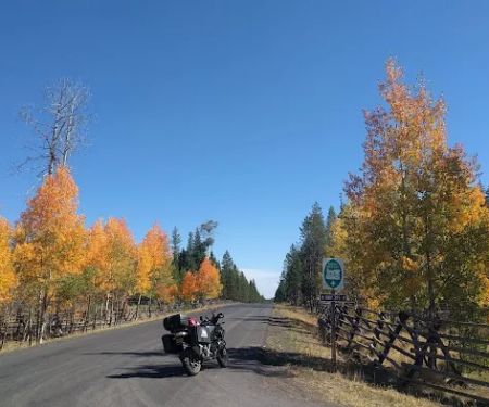 Tollbridge Campground