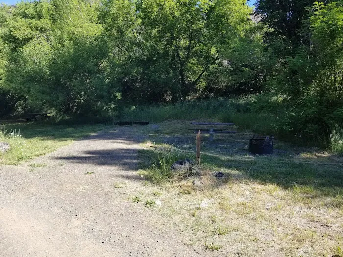 Tollbridge Campground Picture 7