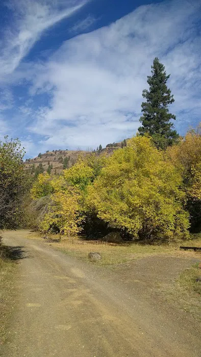 Tollbridge Campground Picture 2
