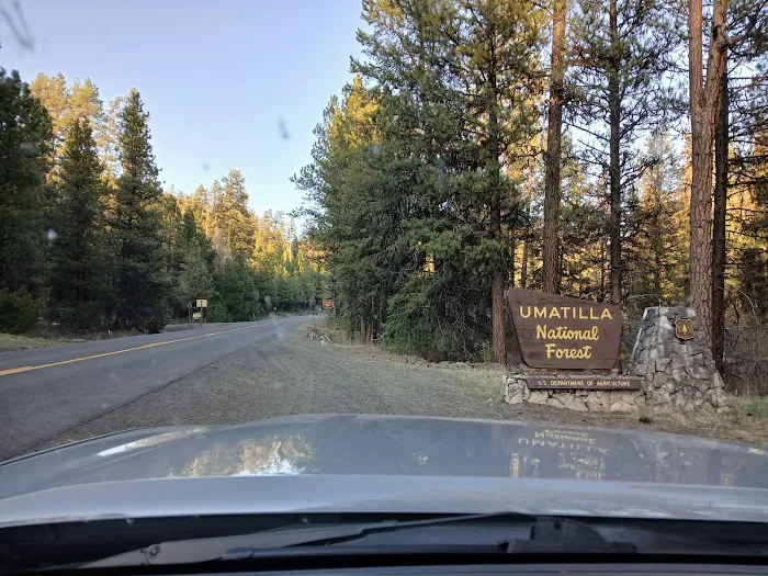 Bear Wallow Creek Campground Picture 1