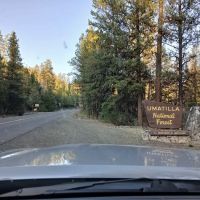 Bear Wallow Creek Campground ico