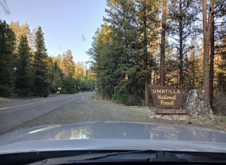 Bear Wallow Creek Campground