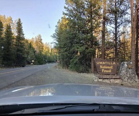Bear Wallow Creek Campground