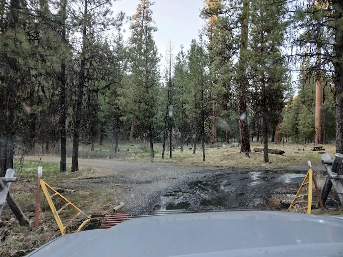 Bear Wallow Creek Campground Picture 3