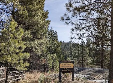 Lane Creek Campground
