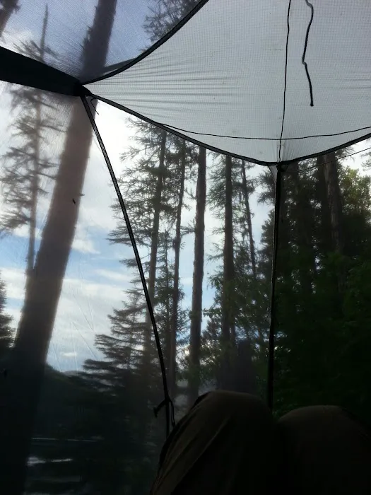 Big Nelson Campground Picture 10