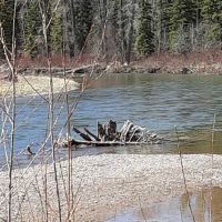 Blackfoot Canyon Campground ico