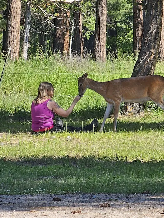 Hooper Park Campground Picture 10
