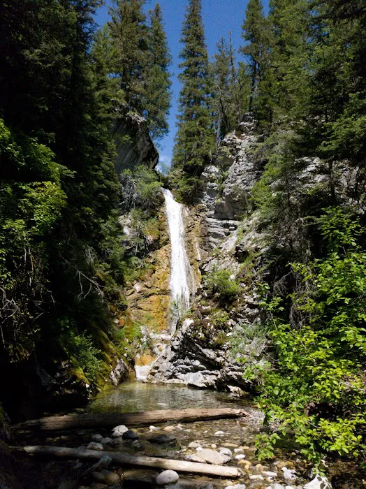Mill Falls Campground Picture 5
