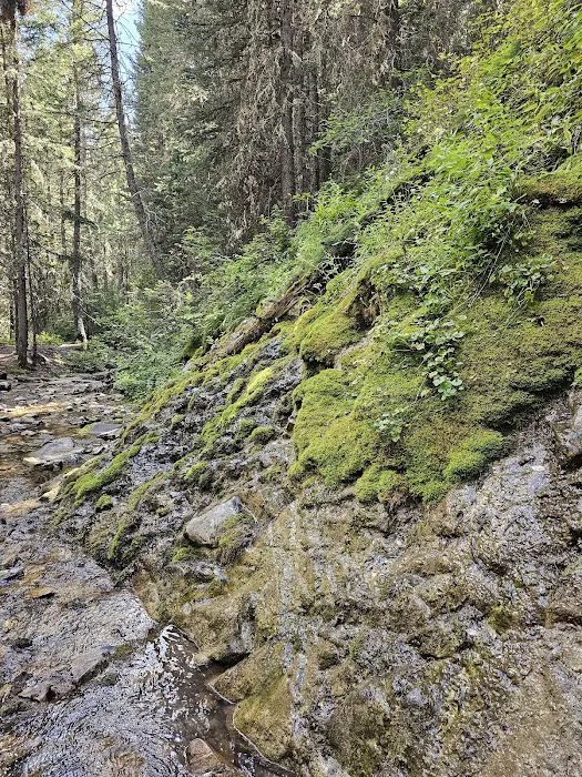 Mill Falls Campground Picture 8