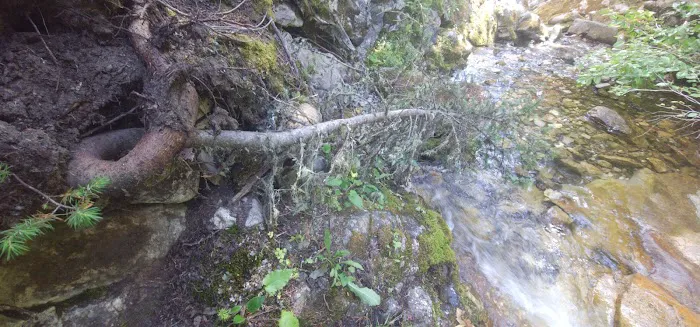 Mill Falls Campground Picture 2