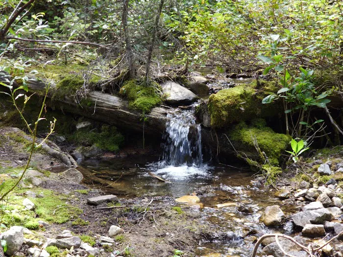 Mill Falls Campground Picture 3