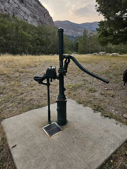 Home Gulch Campground Picture 3