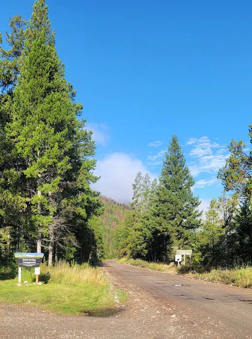 Dickie Bridge Campground Picture 1