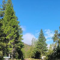 Dickie Bridge Campground ico