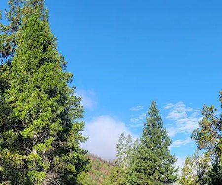 Dickie Bridge Campground