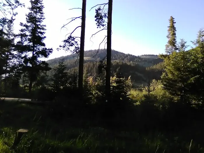 Dickie Bridge Campground Picture 8