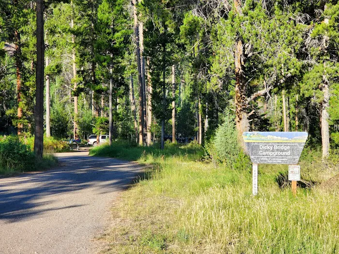 Dickie Bridge Campground Picture 5
