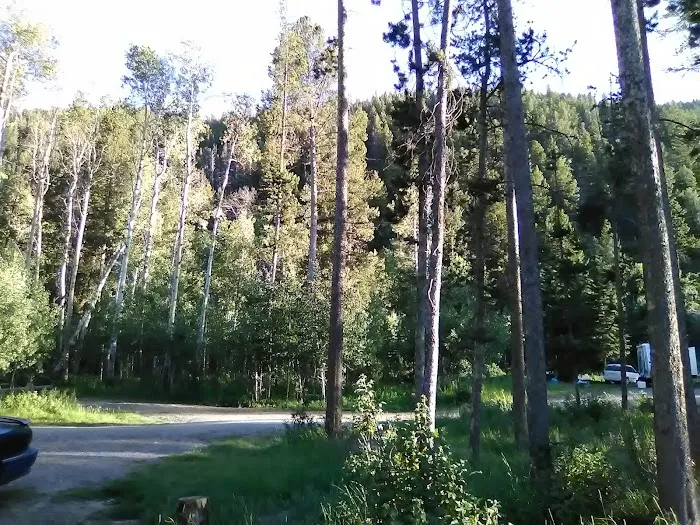 Dickie Bridge Campground Picture 10