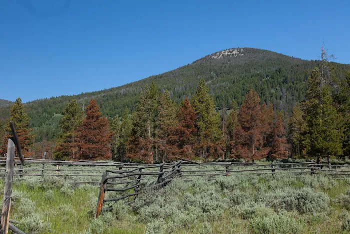 Pettengill Campground Picture 5