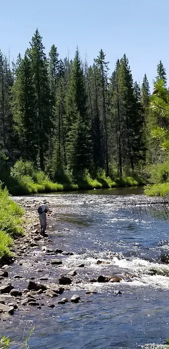 Fourth of July Campground and Picnic Area Picture 5
