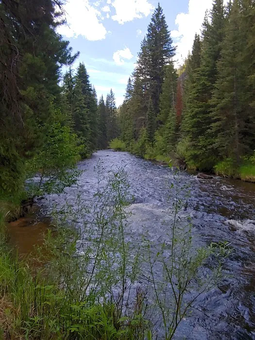 Lodgepole Campground Picture 3