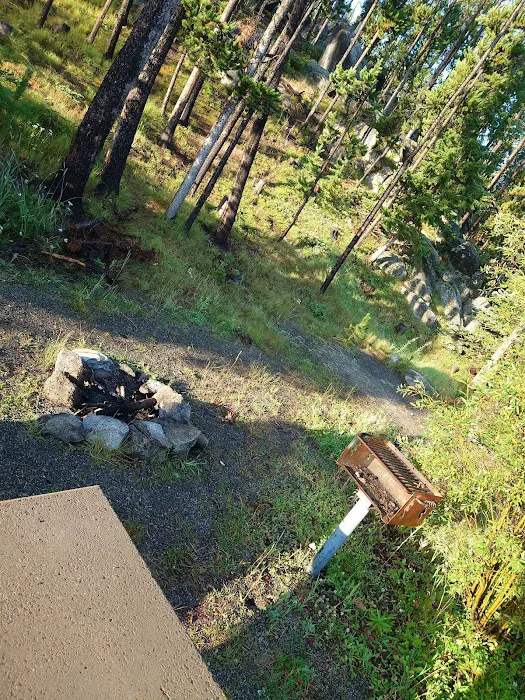 Beaverdam Campground and Picnic Area Picture 3
