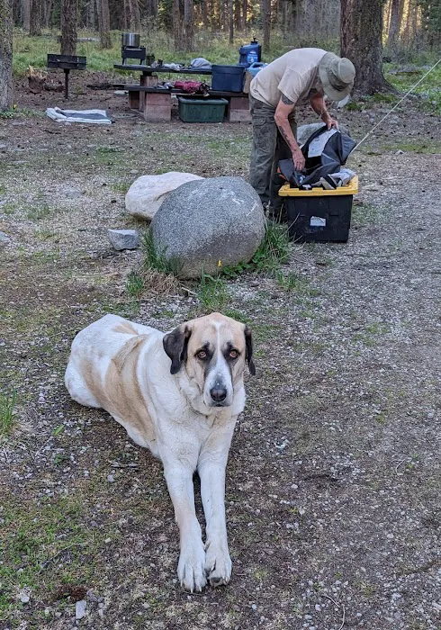 Twin Creek Campground & Group Picnic Picture 5
