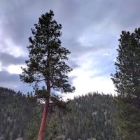 Painted Rocks State Recreation Campground ico