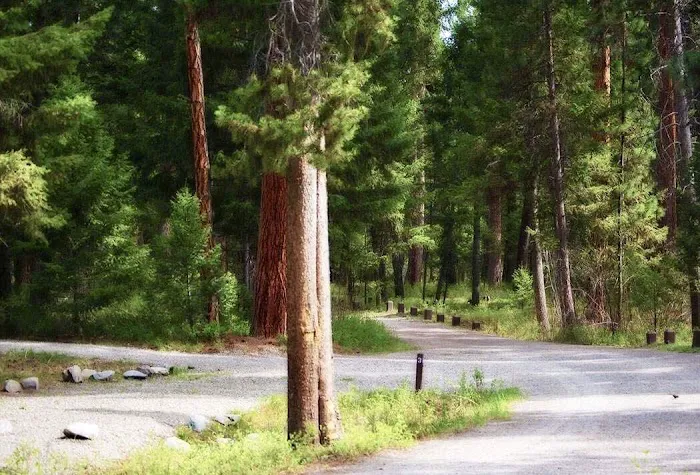 Alta Campground Picture 2