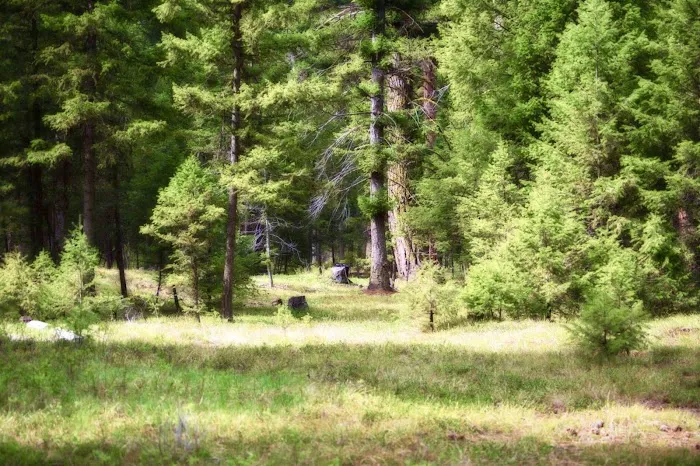 Alta Campground Picture 9